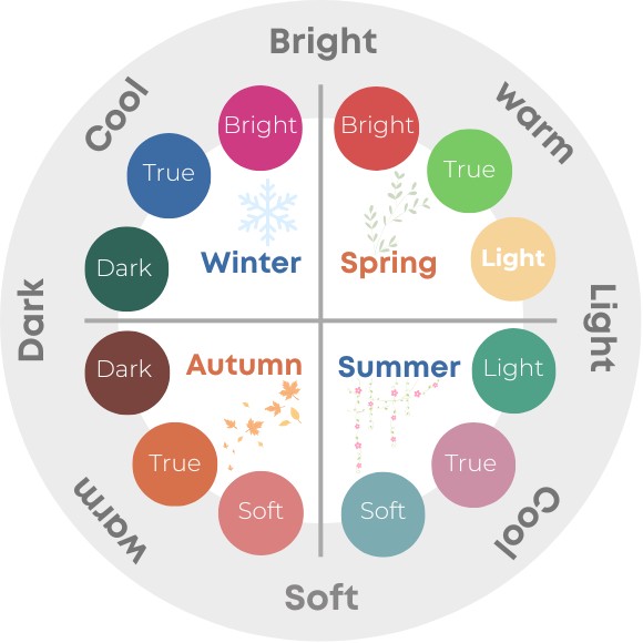 Four-season colour analysis chart showing Winter, Spring, Summer and Autumn palettes arranged by warm, cool, bright and soft tones